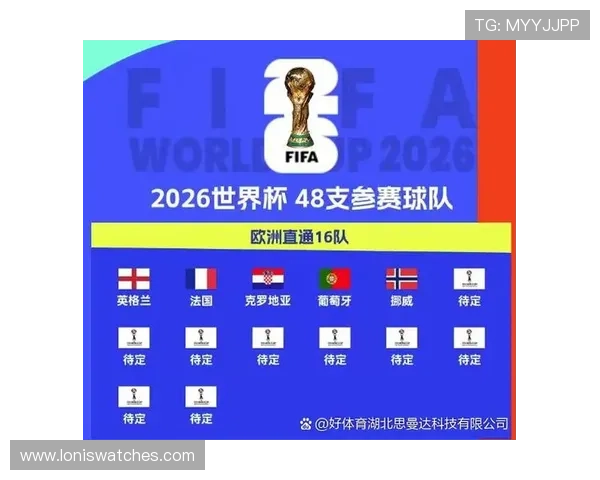 世界杯挪威法国比赛场馆容量最新统计数据及其对球迷观赛体验的影响